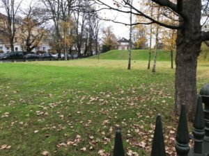 The Grove planting site, Highgate, 2021