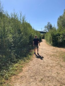 Ickleford native hedgerow, three year's growth, post drought 2026