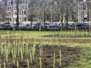 The Grove, Highgate 2021