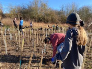 Ickleford 2022, planting day