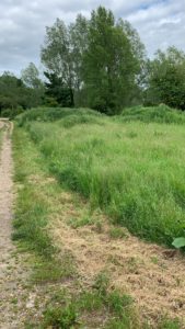 Ickleford, 2022, before