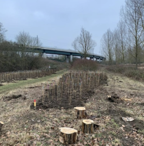 Ickleford native hedgerow planting day 2023