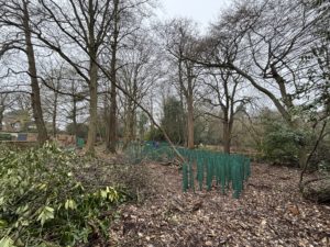 Royal holloway university planting day, 2026