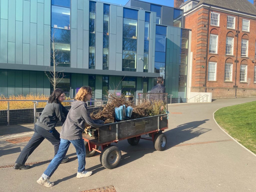 Parliament Hill school, planting day, 2022