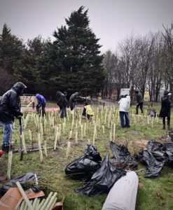 Sussex University planting event 2026