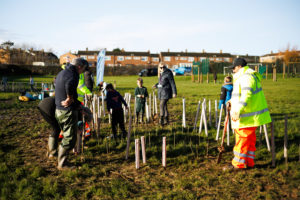Thornton Grove planting day 2025