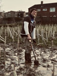 Thornton Grove 3, planting day