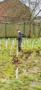 Thornton Grove 2, planting day 2026
