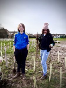 Thornton Grove 3, planting day
